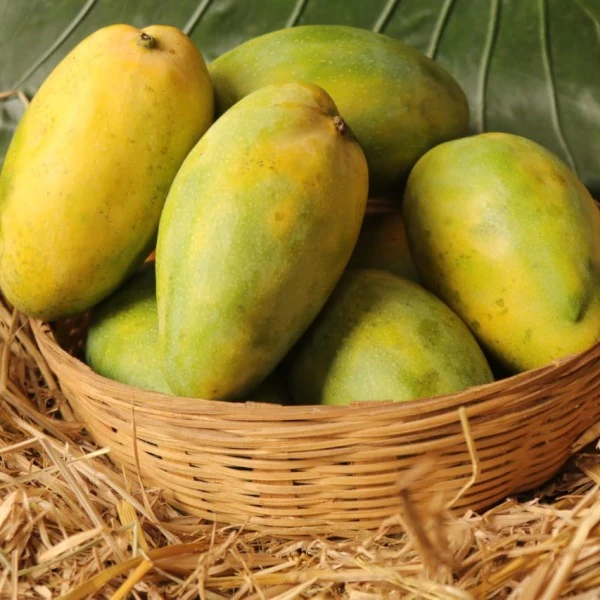 Himayat Organic Mangoes